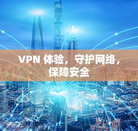 VPN 体验，守护网络，保障安全