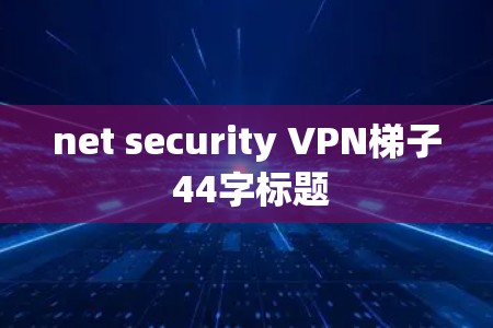 net security VPN梯子 44字标题
