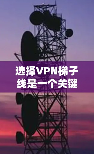 选择VPN梯子线是一个关键步骤，因为它影响VPN的安全性和可靠性。以下是一个清晰的指南，帮助您根据需求选择适合的VPN梯子线