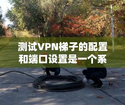测试VPN梯子的配置和端口设置是一个系统性的过程，需要耐心和细致。以下是一个清晰的步骤指南，帮助您顺利完成