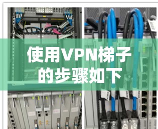 使用VPN梯子的步骤如下