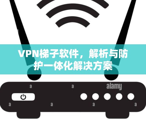VPN梯子软件，解析与防护一体化解决方案