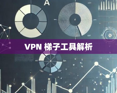 VPN 梯子工具解析