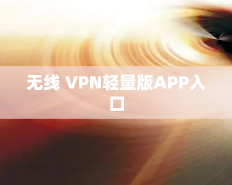 无线 VPN轻量版APP入口