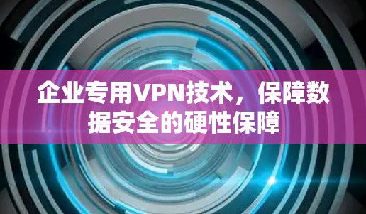 企业专用VPN技术，保障数据安全的硬性保障