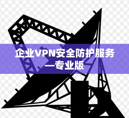 企业VPN安全防护服务—专业版