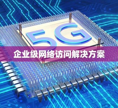 企业级网络访问解决方案