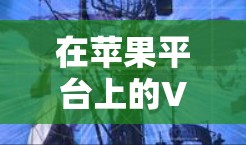 在苹果平台上的VPN下载和使用方法如下