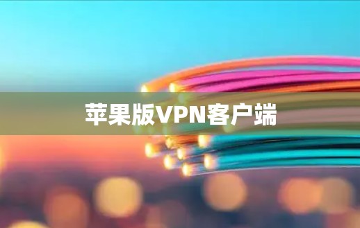 苹果版VPN客户端