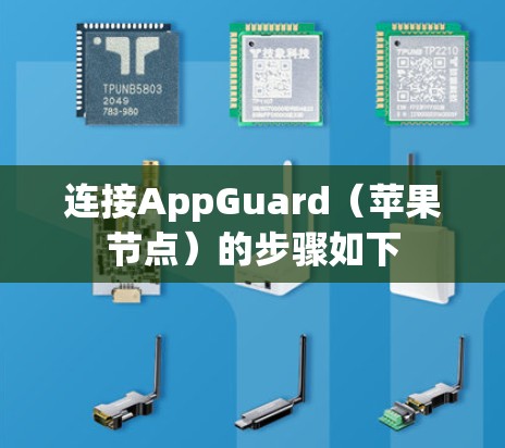 连接AppGuard（苹果节点）的步骤如下