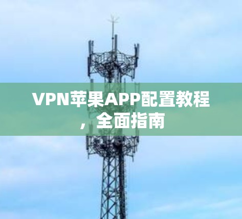 VPN苹果APP配置教程,全面指南