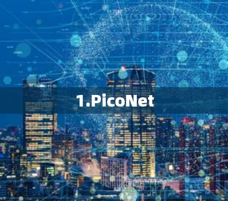 1.PicoNet