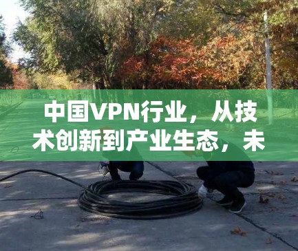 中国VPN行业，从技术创新到产业生态，未来有何展望？