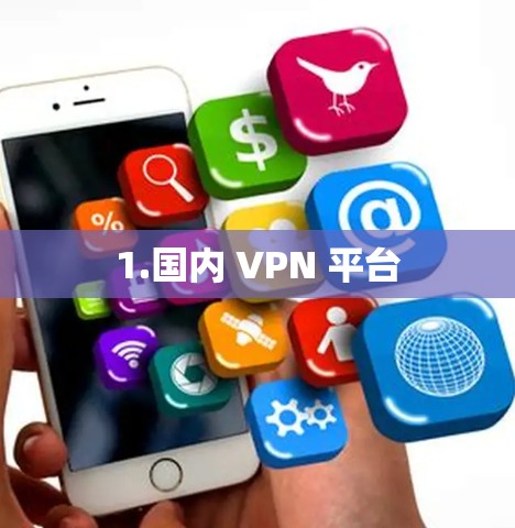 1.国内 VPN 平台 1.国内 VPN 平台