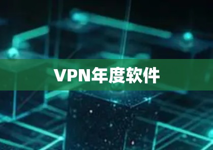VPN年度软件